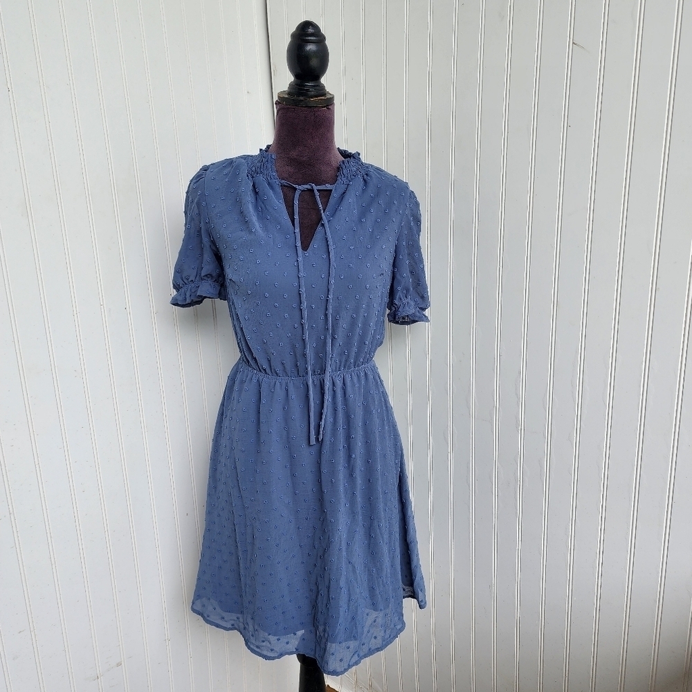 Monteau Women's Blue Swiss Dot Dress Fit Flare Ruffled Short Sleeve Sz S